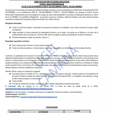 COMISIÓN DE ENCARGATURAS: CONVOCATORIA DE SELECCIÓN PARA EL PROCEDIMIENTO DE ENCARGO DE PLAZAS VACANTES DE CARGOS DIRECTIVOS DE INSTITUCIONES EDUCATIVAS ETAPA I: SELECCIÓN REGULAR